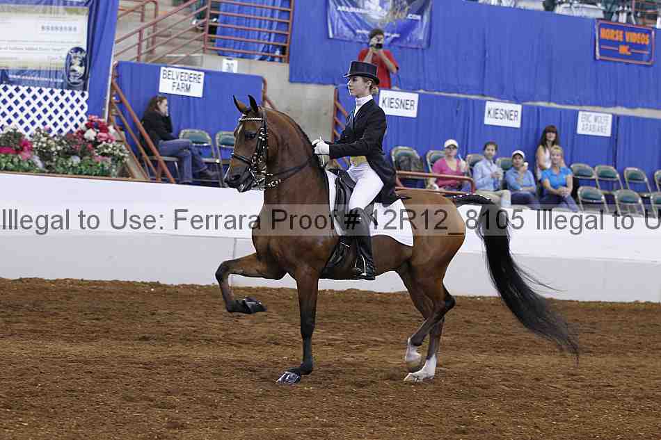 Proof Number 12r12_8105
