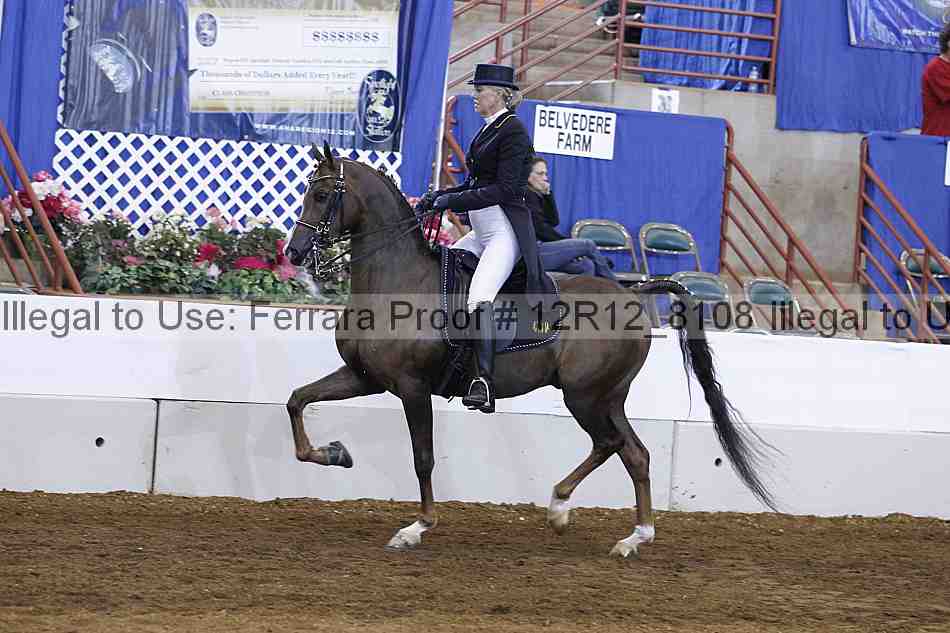 Proof Number 12r12_8108