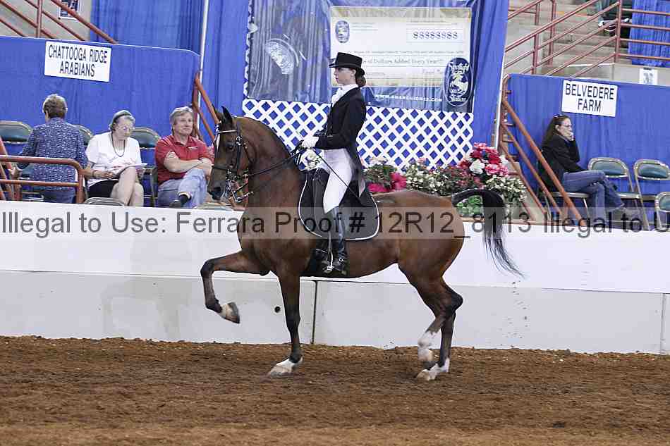 Proof Number 12r12_8113