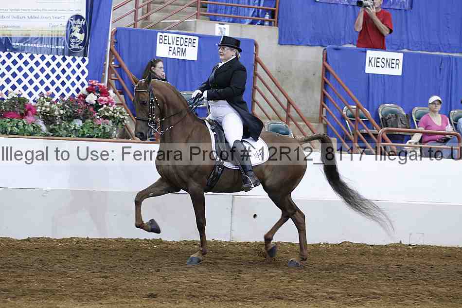 Proof Number 12r12_8117