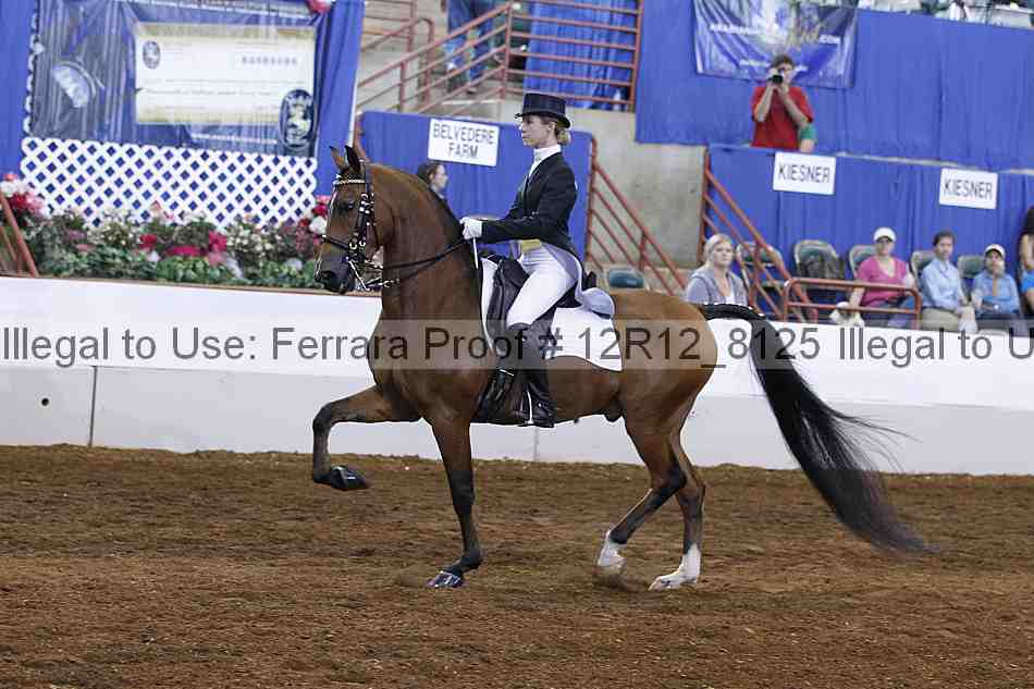 Proof Number 12r12_8125