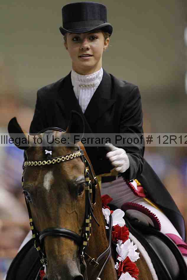 Proof Number 12r12_8139