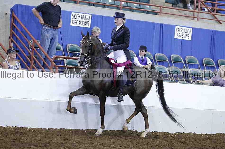 Proof Number 12r12_8153