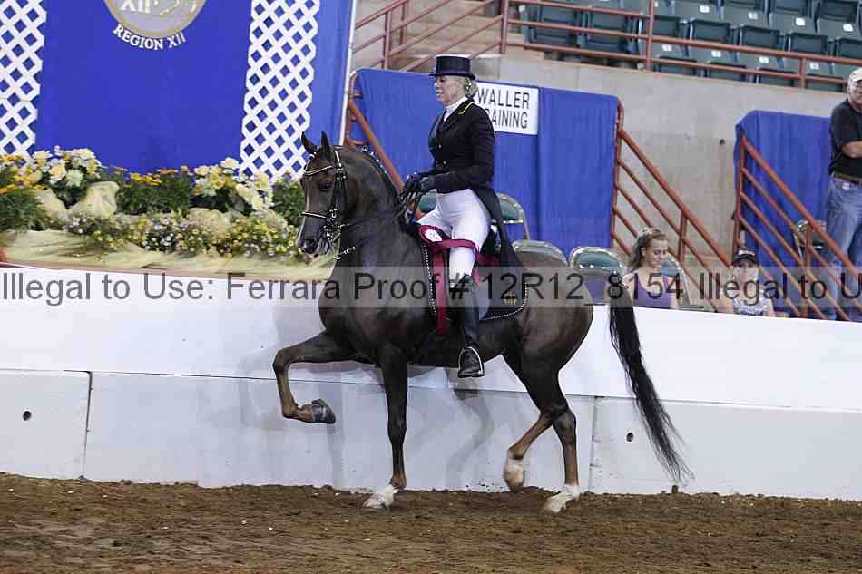Proof Number 12r12_8154