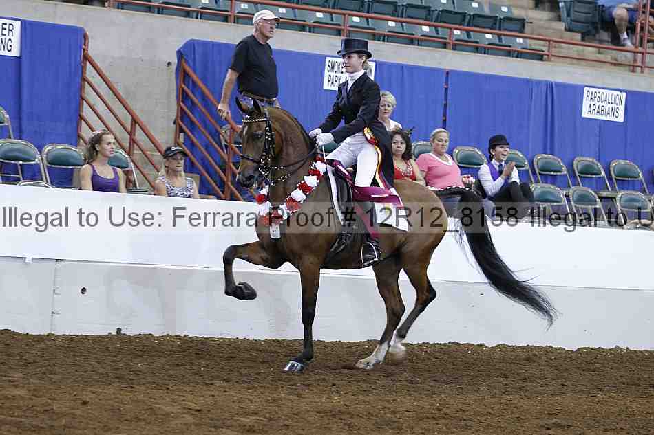 Proof Number 12r12_8158