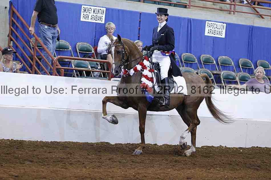 Proof Number 12r12_8162