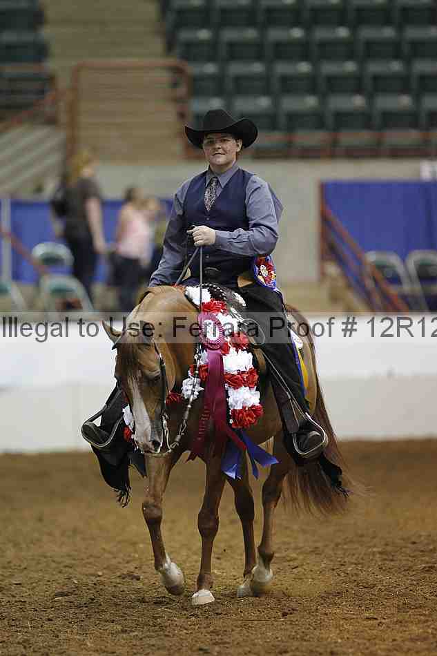 Proof Number 12r12_8192