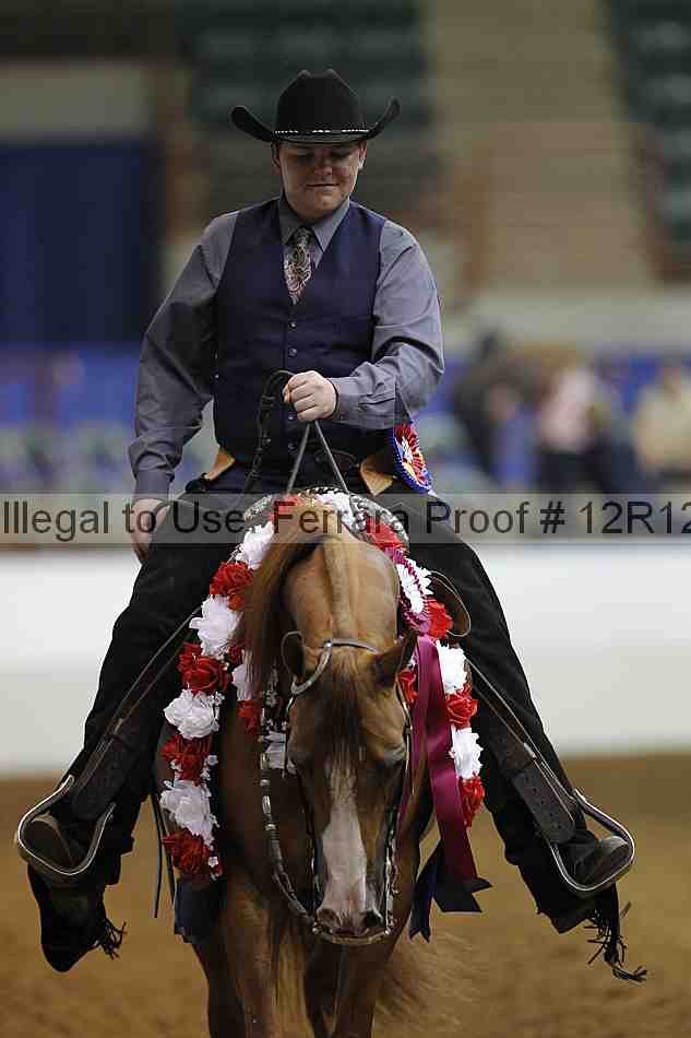 Proof Number 12r12_8195