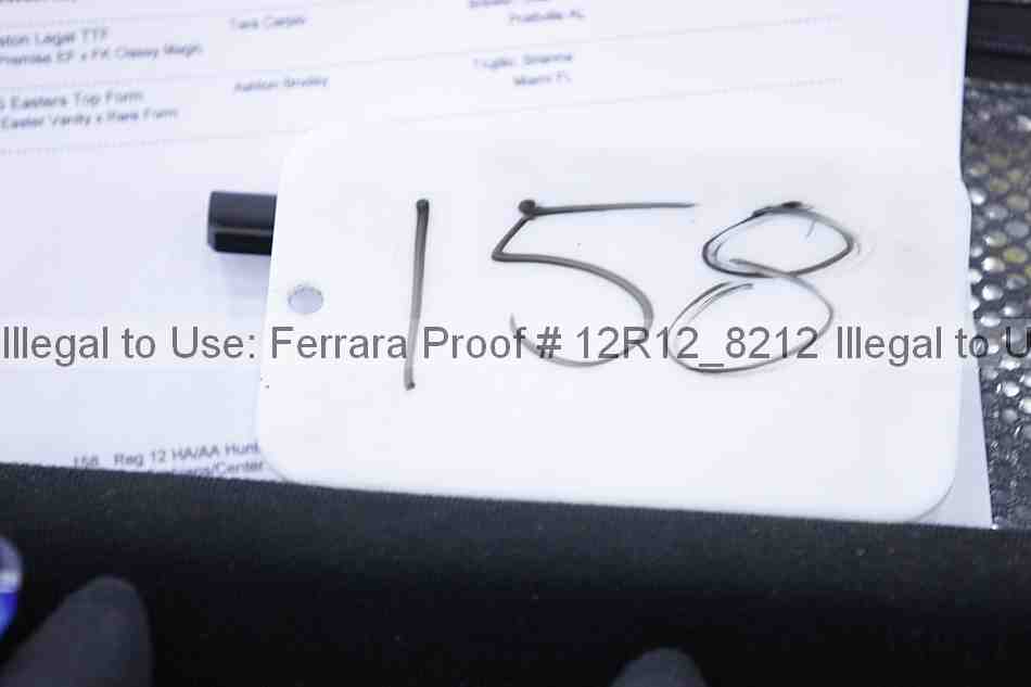 Proof Number 12r12_8212