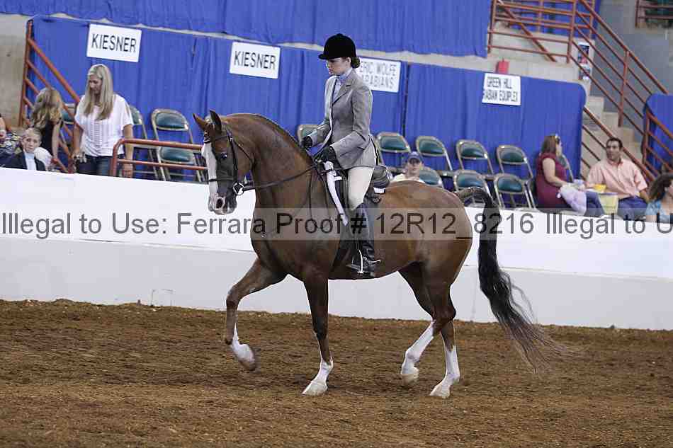 Proof Number 12r12_8216