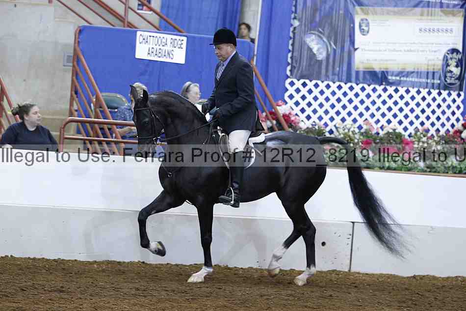 Proof Number 12r12_8219