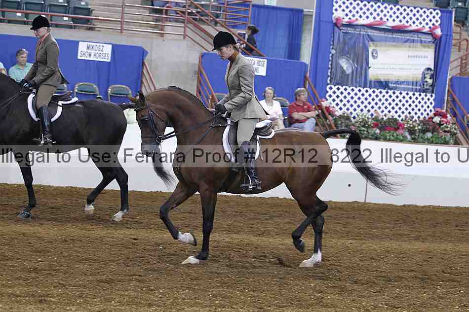 Proof Number 12r12_8222