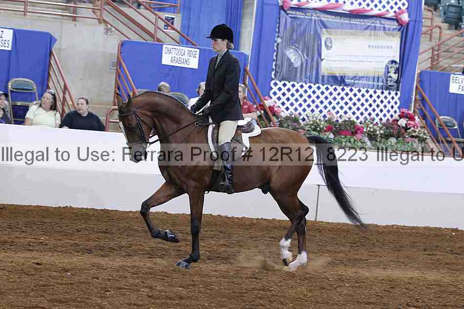 Proof Number 12r12_8223