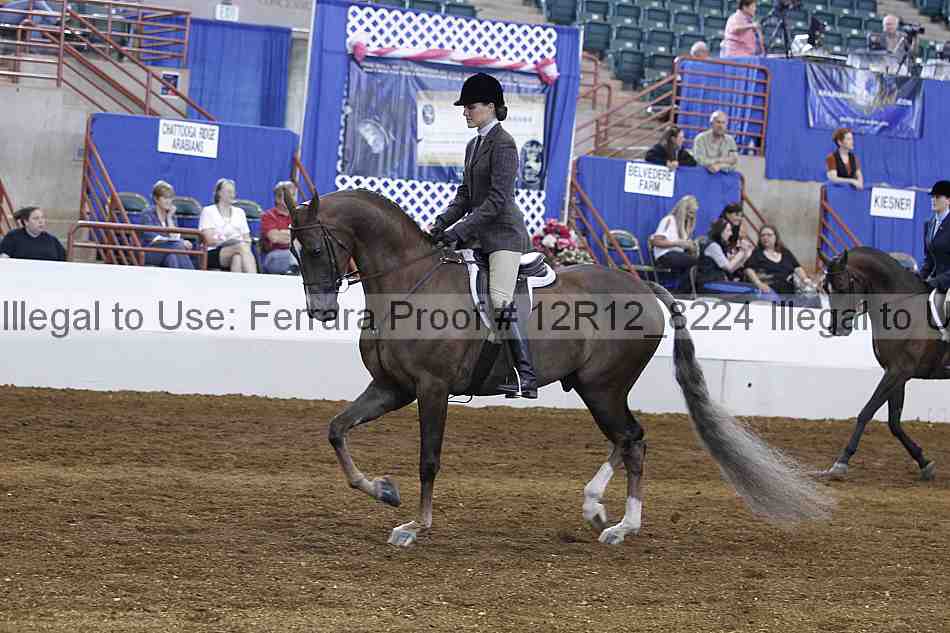 Proof Number 12r12_8224