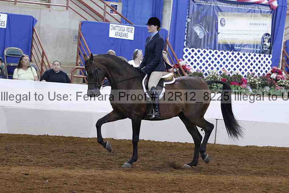Proof Number 12r12_8225
