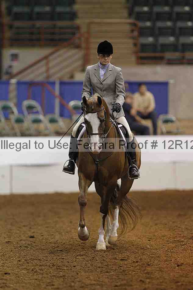 Proof Number 12r12_8234