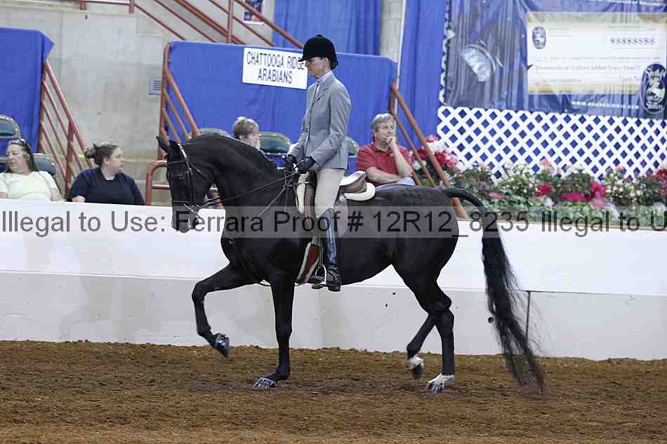 Proof Number 12r12_8235