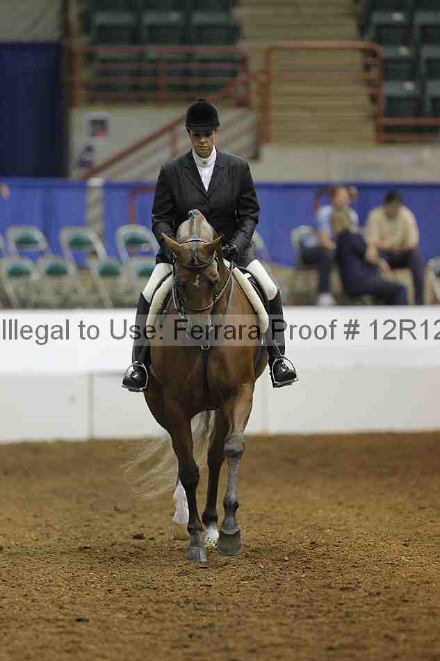 Proof Number 12r12_8237
