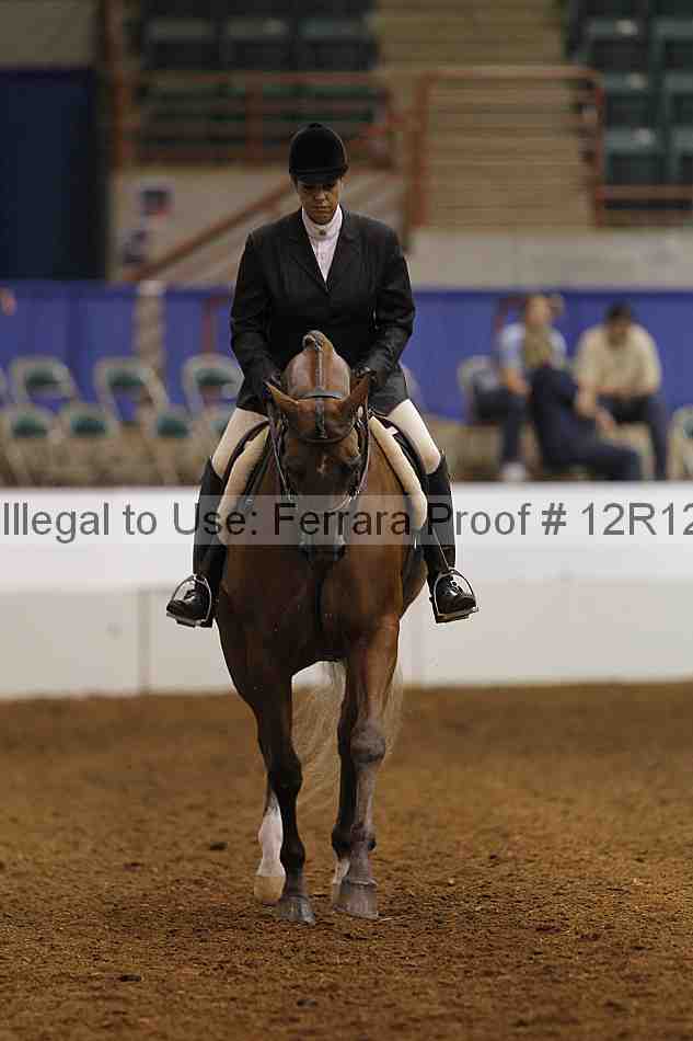 Proof Number 12r12_8238