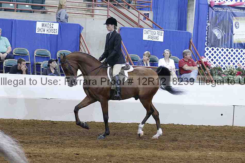 Proof Number 12r12_8239