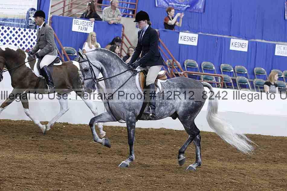 Proof Number 12r12_8242