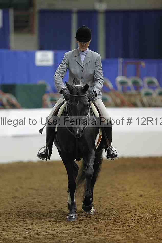 Proof Number 12r12_8243