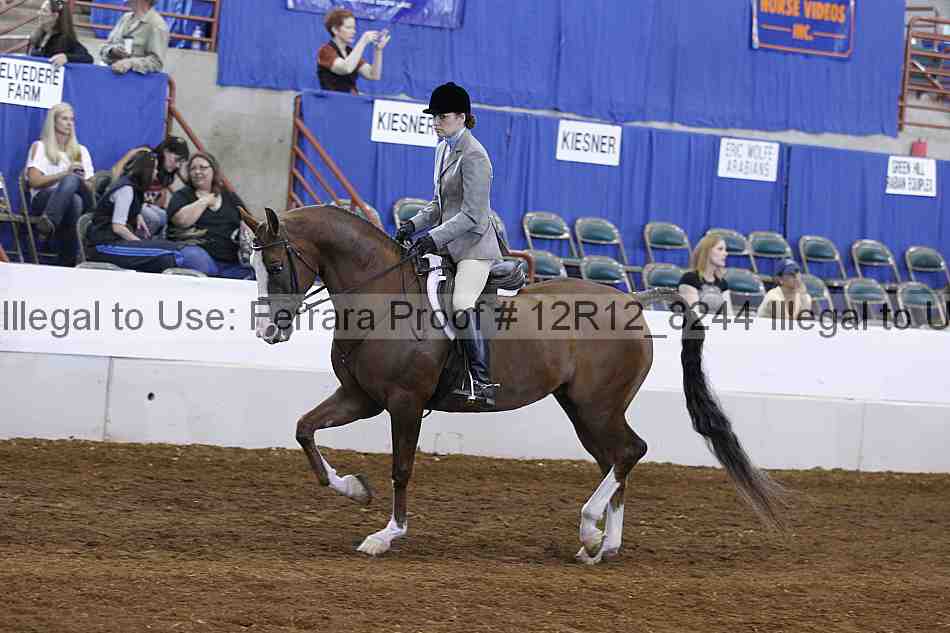 Proof Number 12r12_8244