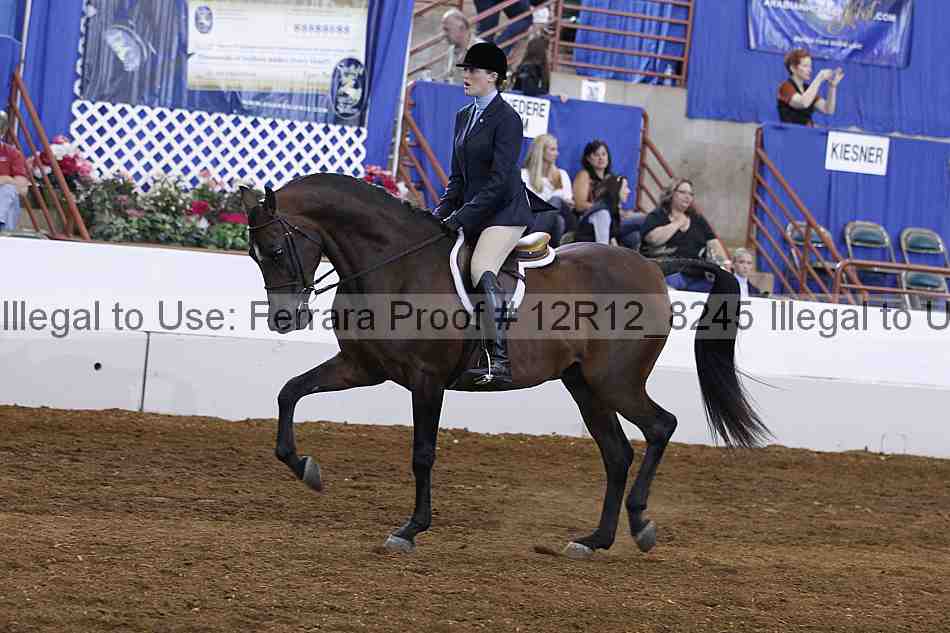 Proof Number 12r12_8245
