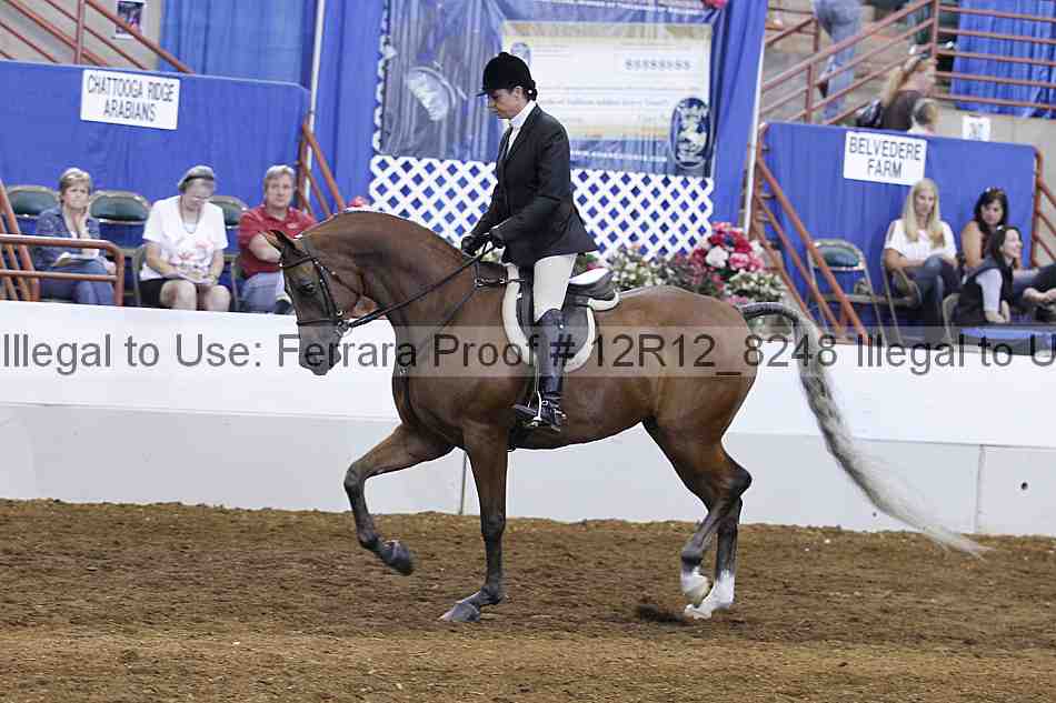 Proof Number 12r12_8248