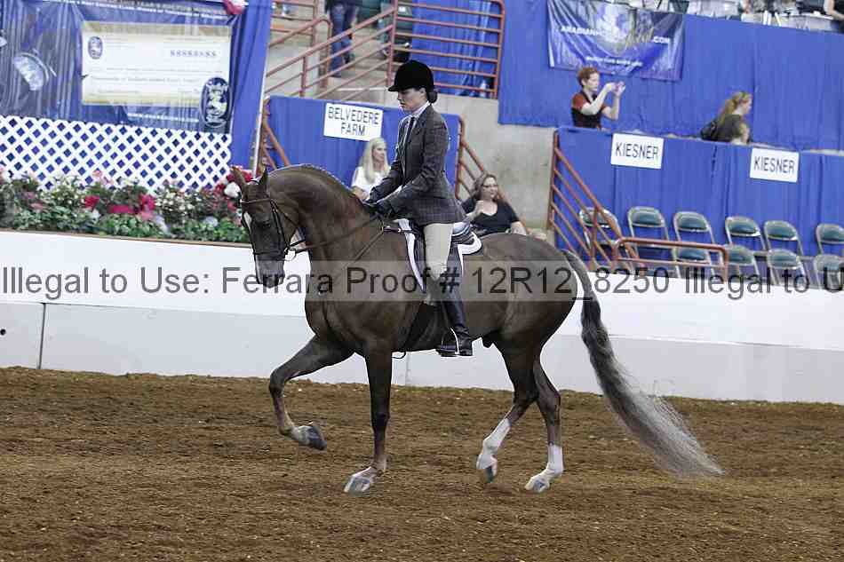 Proof Number 12r12_8250