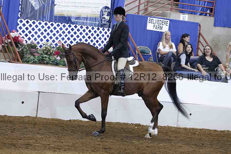 Proof Number 12r12_8256