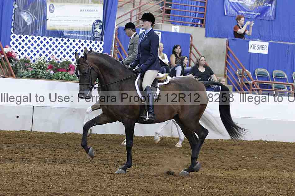 Proof Number 12r12_8258