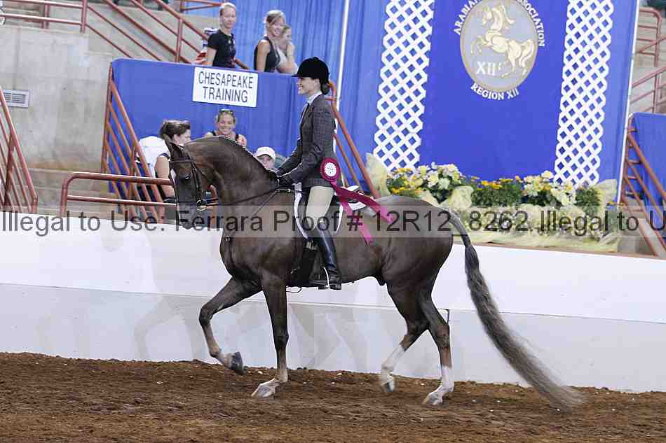 Proof Number 12r12_8262