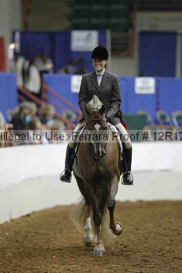 Proof Number 12r12_8266