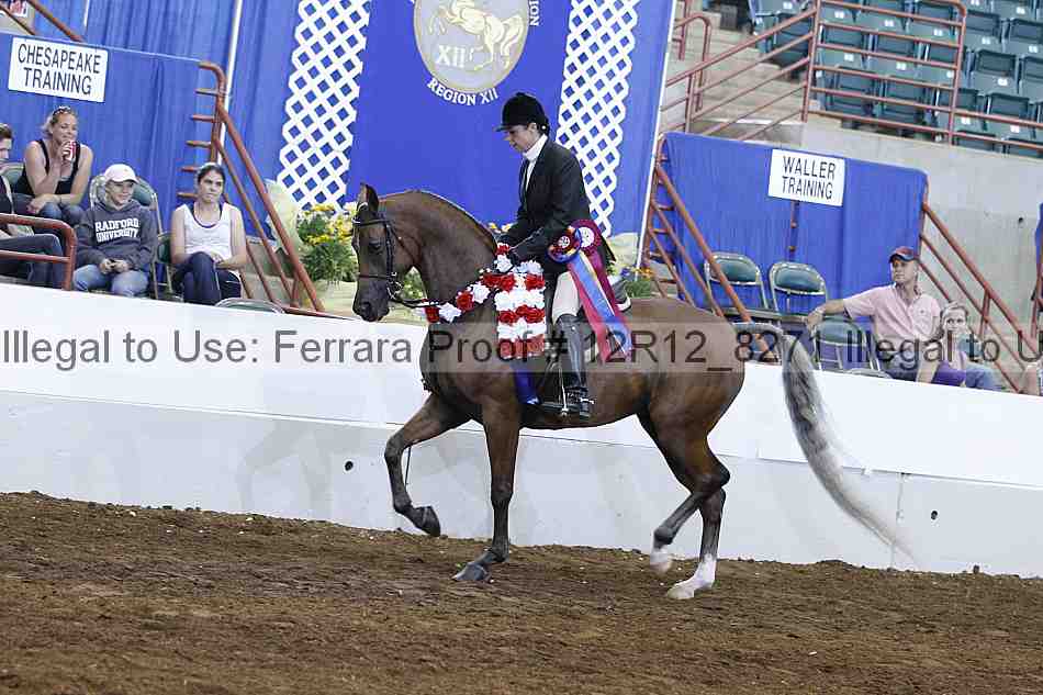 Proof Number 12r12_8271