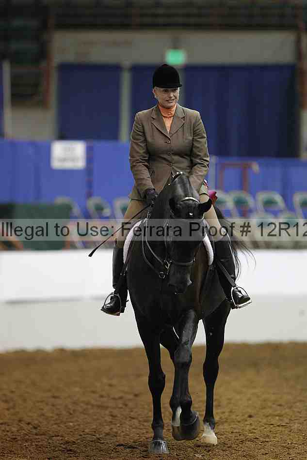 Proof Number 12r12_8272