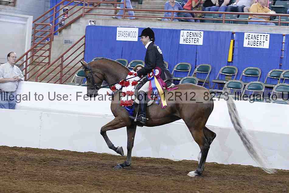 Proof Number 12r12_8273