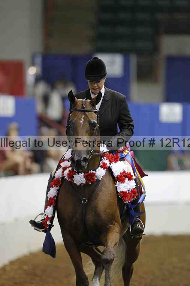 Proof Number 12r12_8276