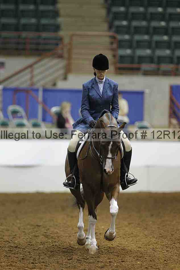 Proof Number 12r12_8303