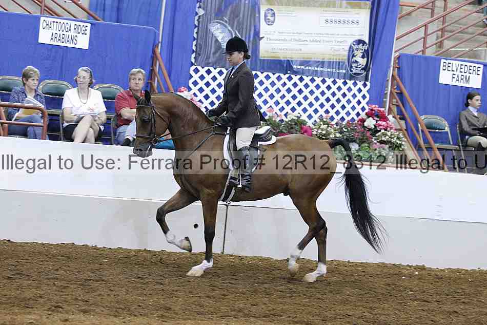 Proof Number 12r12_8312