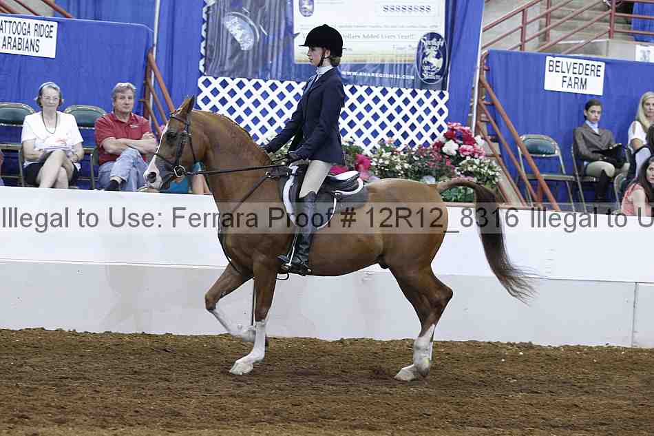 Proof Number 12r12_8316