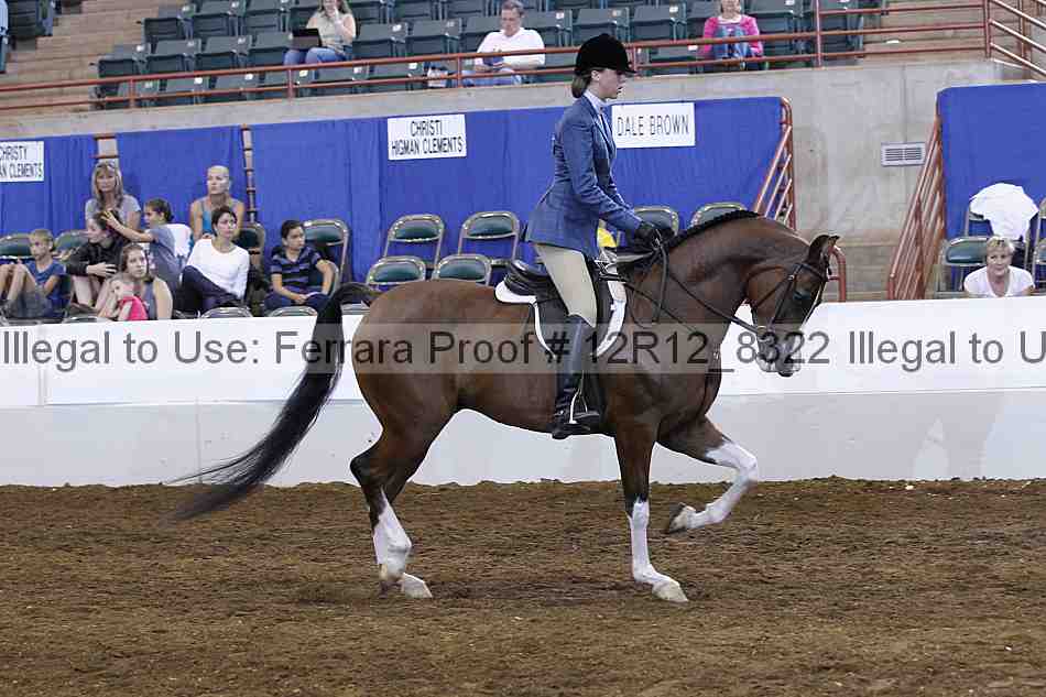 Proof Number 12r12_8322
