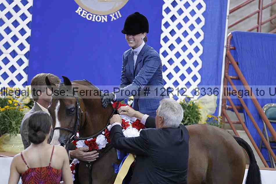 Proof Number 12r12_8336