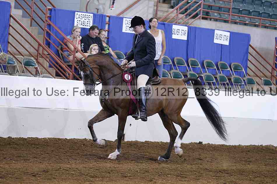 Proof Number 12r12_8339