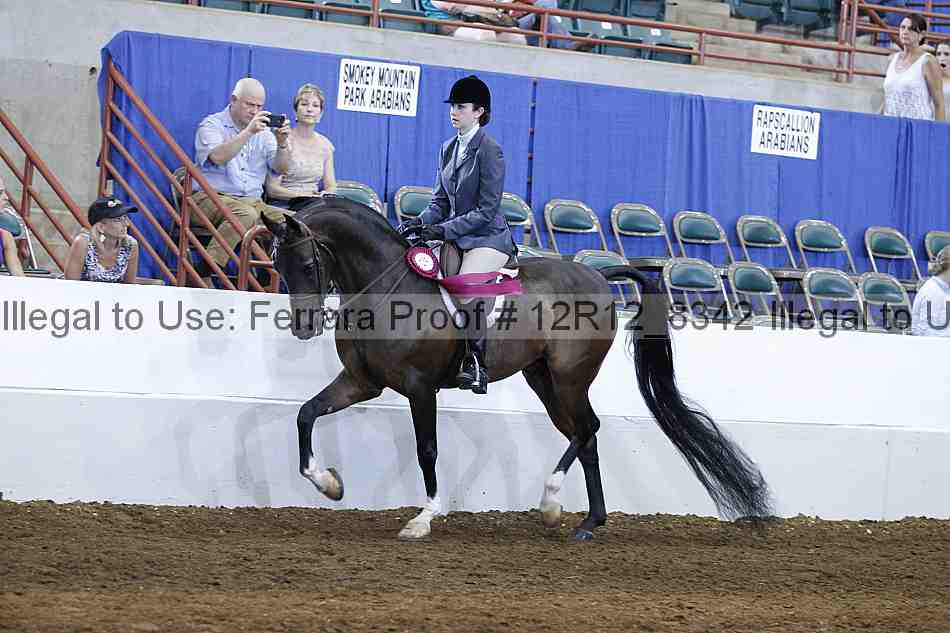 Proof Number 12r12_8342