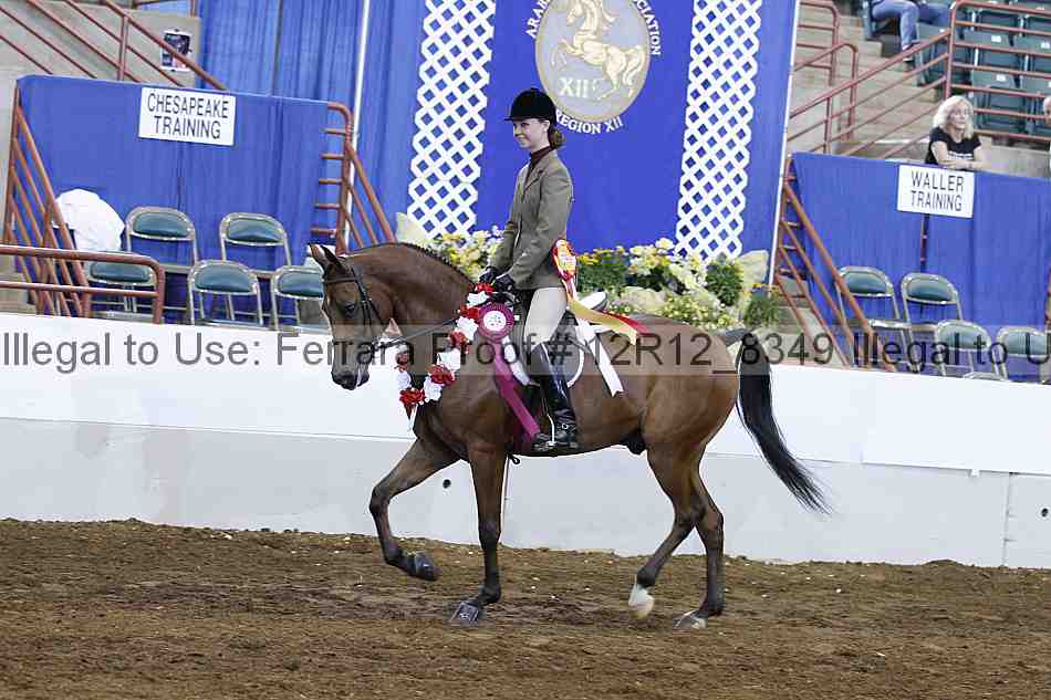 Proof Number 12r12_8349