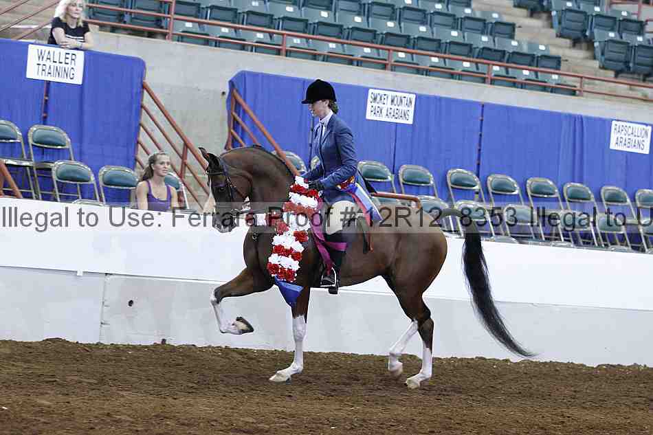 Proof Number 12r12_8353