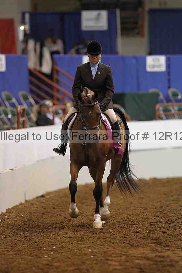 Proof Number 12r12_8355