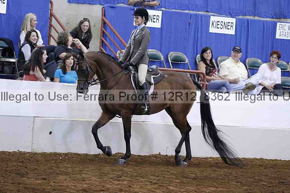 Proof Number 12r12_8362