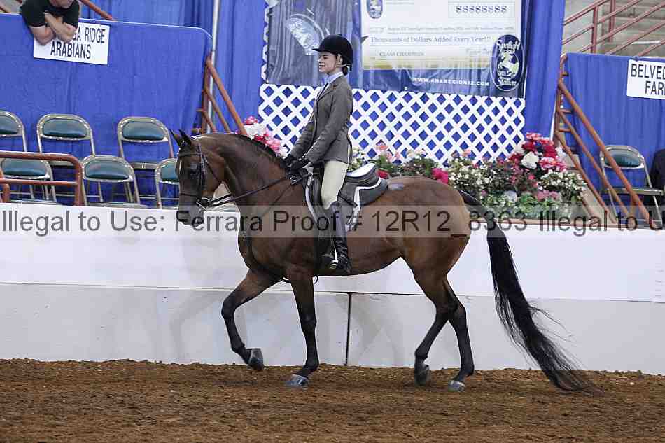 Proof Number 12r12_8363